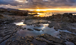 Photo of tide pools under a low sun