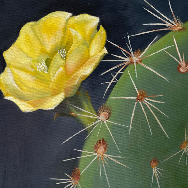 Painting of a cactus in bloom by Marcia Kortas