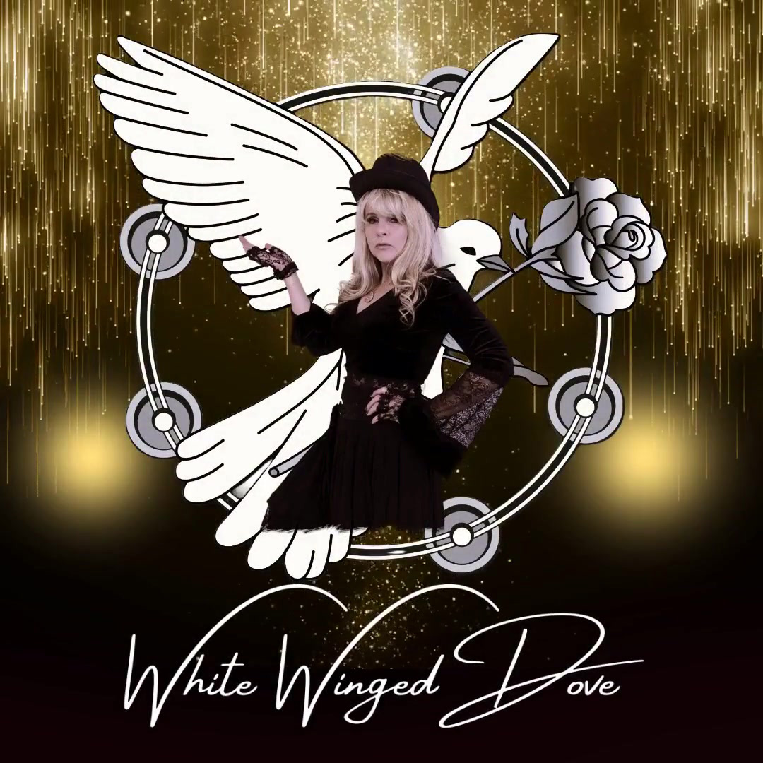 White Winged Dove with singer performing as Stevie Nicks
