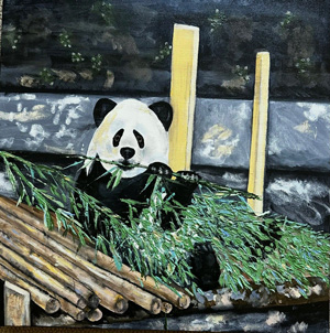 Denise Dobson - Panda